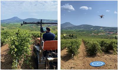 Investigating a Selection of Methods for the Prediction of Total Soluble Solids Among Wine Grape Quality Characteristics Using Normalized Difference Vegetation Index Data From Proximal and Remote Sensing